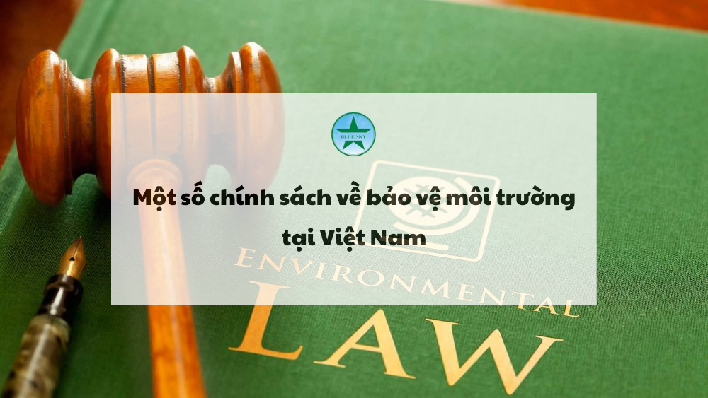 Một số chính sách bảo vệ môi trường tại Việt Nam