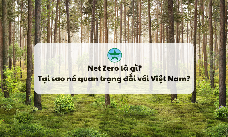 Net Zero là gì và tại sao nó quan trọng đối với Việt Nam?