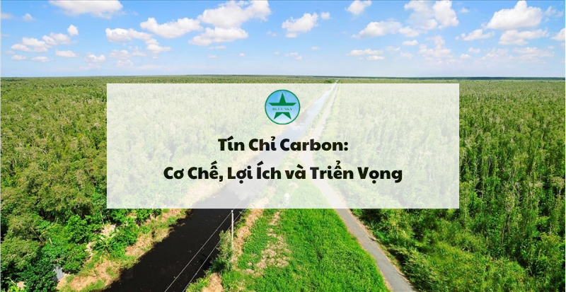 Tín chỉ Carbon – Bán không khí đổi lấy tiền