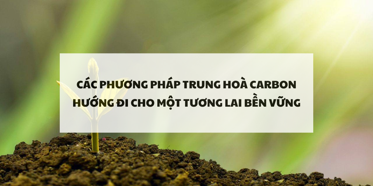 Trung hoà Carbon: Những phương pháp cho một tương lai bền vững