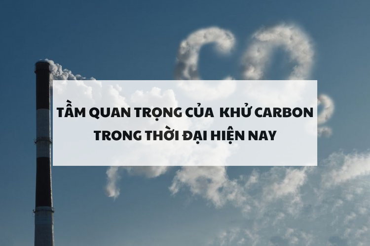 Khử carbon và tầm quan trọng trong thời đại hiện nay