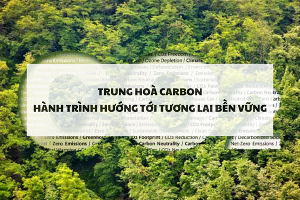 Trung hoà Carbon: Hành trình hướng tới tương lai bền vững