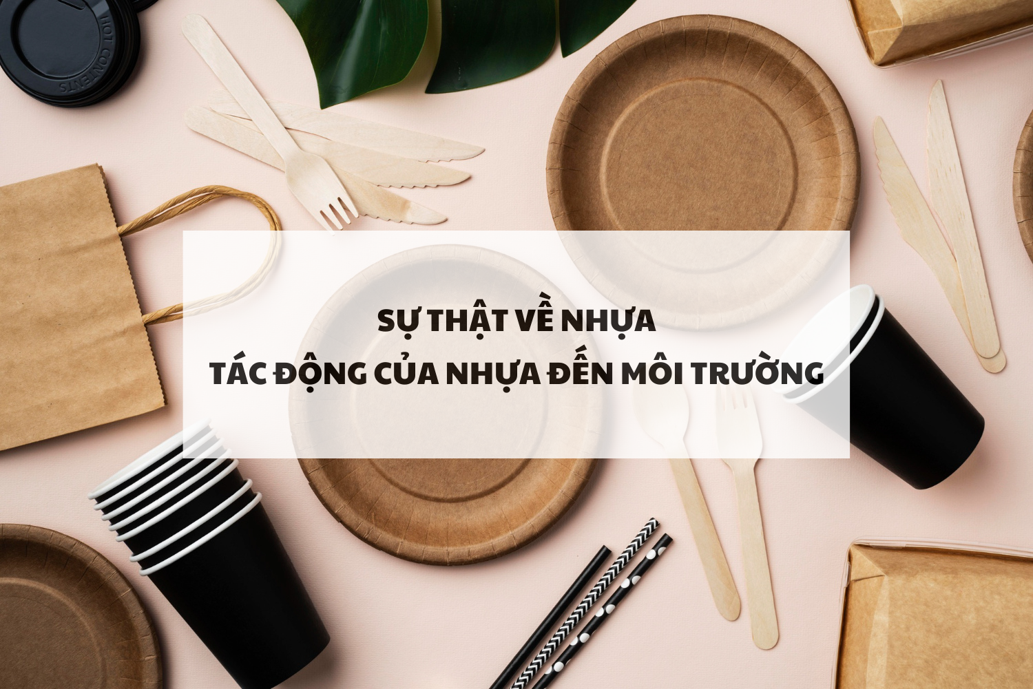 Sự thật về nhựa và tác động của nhựa đến môi trường