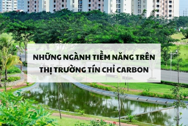 Những ngành tiềm năng trên thị trường carbon