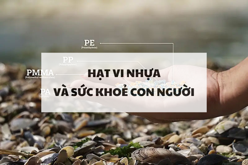 Hạt vi nhựa và sức khoẻ con người
