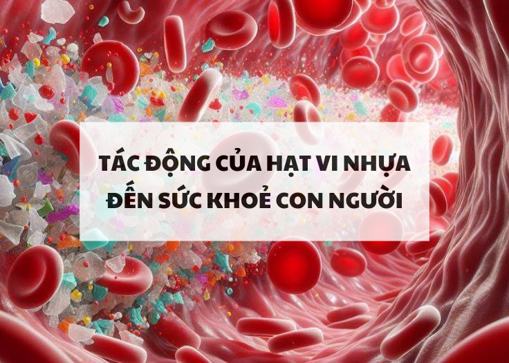 Tác động của hạt vi nhựa đến sức khoẻ con người