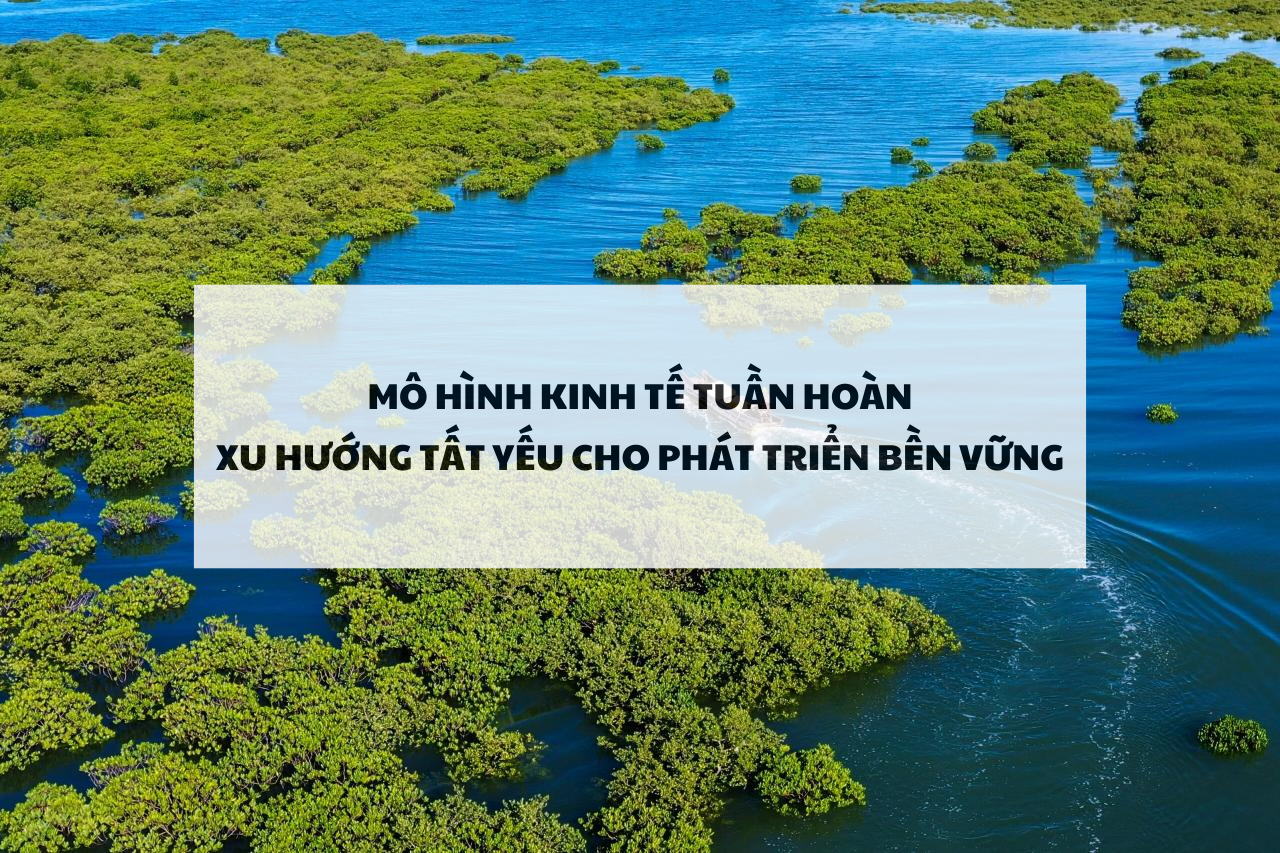 Kinh tế tuần hoàn: Xu hướng phát triển bền vững