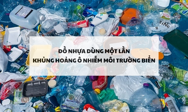 Đồ nhựa dùng một lần và khủng hoảng ô nhiễm biển