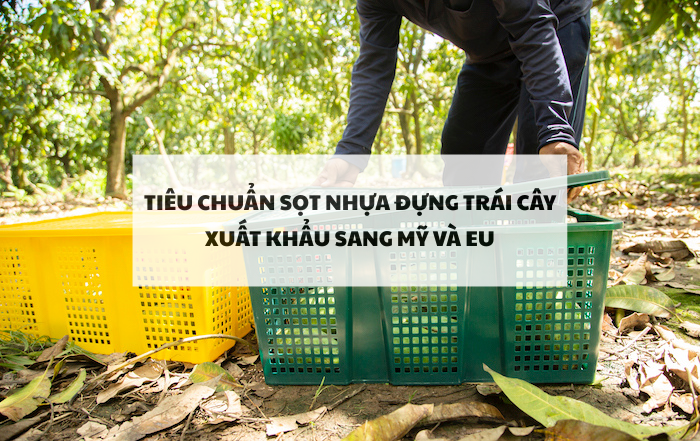 Tiêu chuẩn sọt nhựa đựng trái cây xuất khẩu sang Mỹ và EU