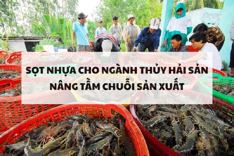 Nâng tầm chuỗi sản xuất thủy hải sản bằng việc ứng dụng sọt nhựa